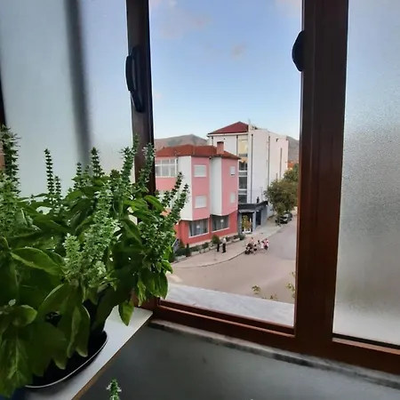Lordev * Korce